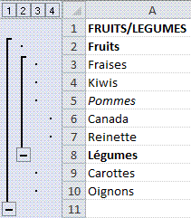 plan final